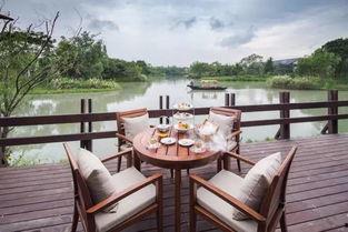 吃瓜娱乐杭州椰子宾馆,揭秘网红酒店背后的吃瓜娱乐故事