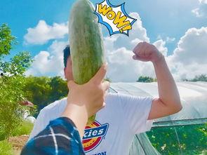 吃娱乐圈的瓜吃到饱,一网打尽明星秘闻，尽享八卦盛宴